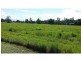 Mena Creek QLD 4871
