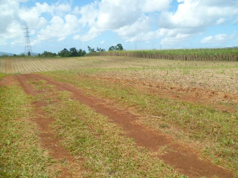 Currajah QLD 4871