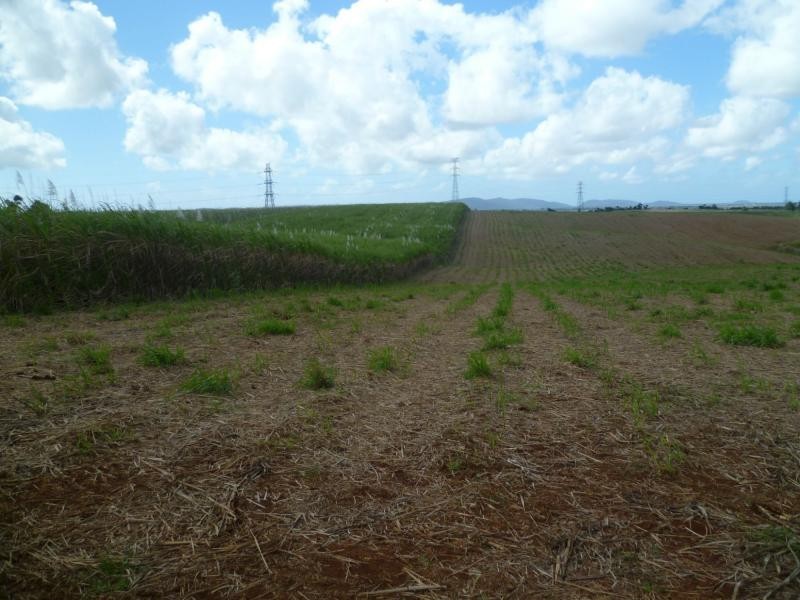 Currajah QLD 4871