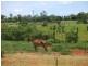 Innisfail QLD 4860