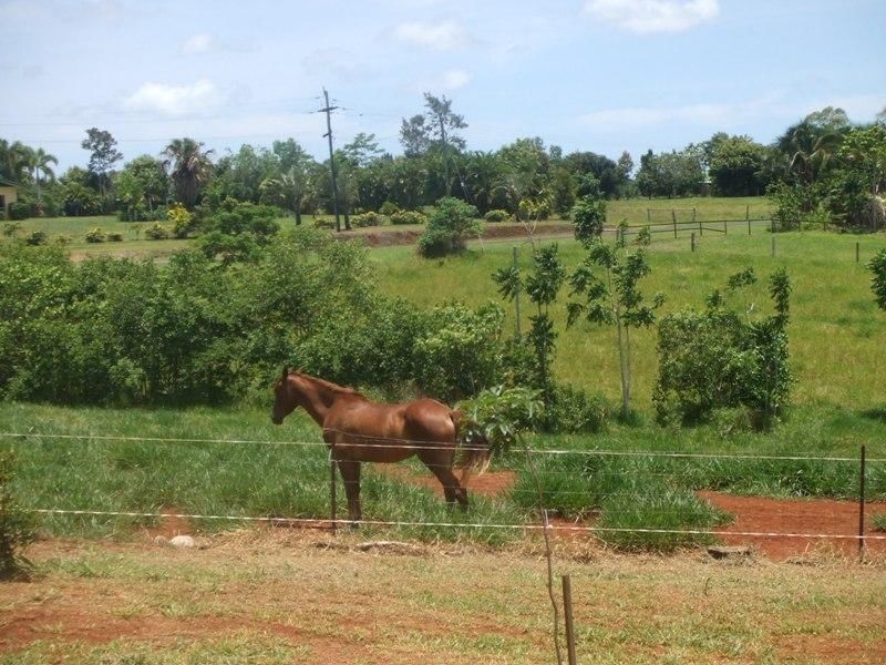 Innisfail QLD 4860