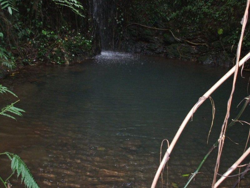 Innisfail QLD 4860