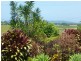 Innisfail QLD 4860