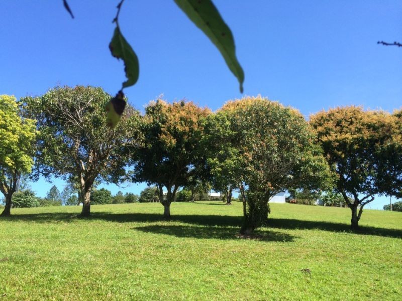 Vasa Views QLD 4860