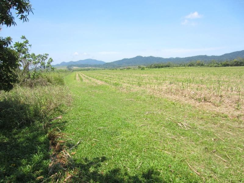 Daradgee QLD 4860
