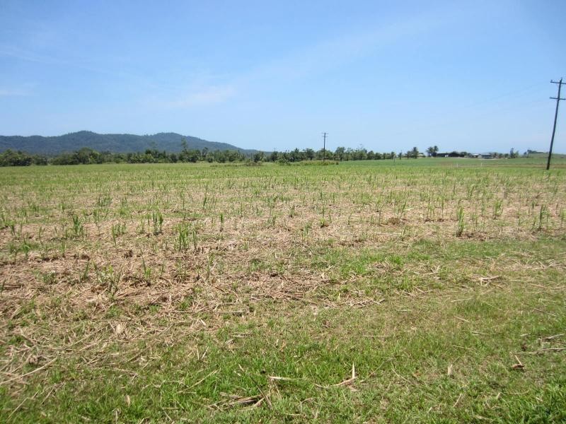 Daradgee QLD 4860