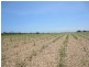 Daradgee QLD 4860
