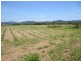 Daradgee QLD 4860
