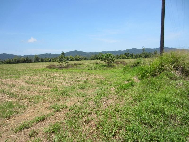 Daradgee QLD 4860