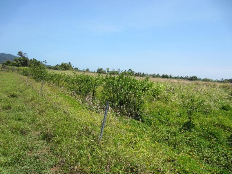 Daradgee QLD 4860
