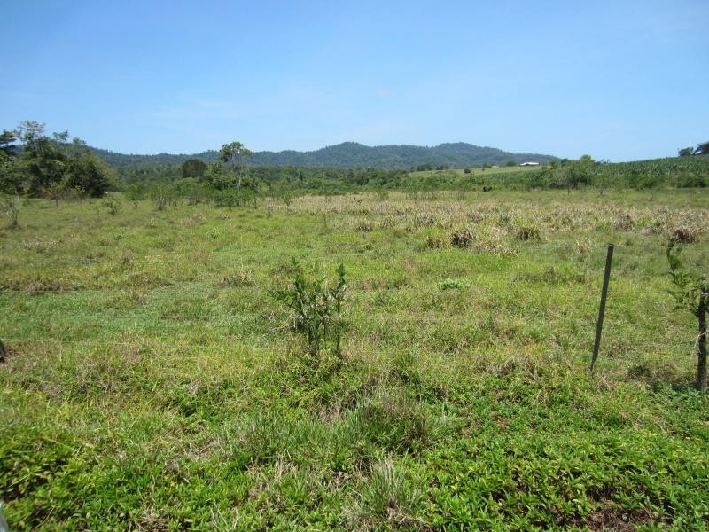 Daradgee QLD 4860