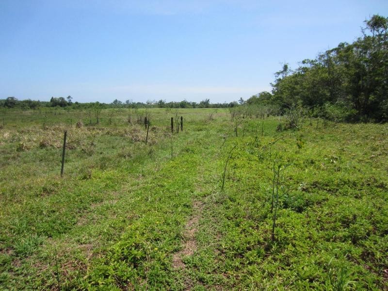 Daradgee QLD 4860