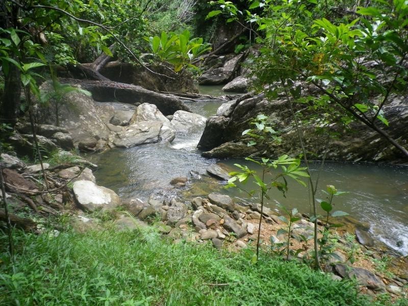 Innisfail QLD 4860