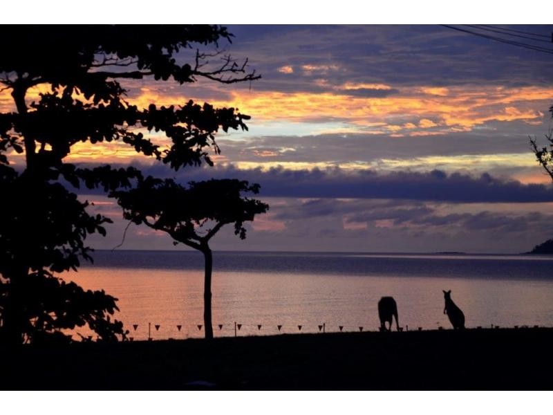 Mission Beach QLD 4852