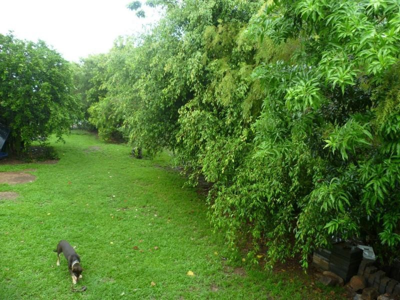 East Innisfail QLD 4860