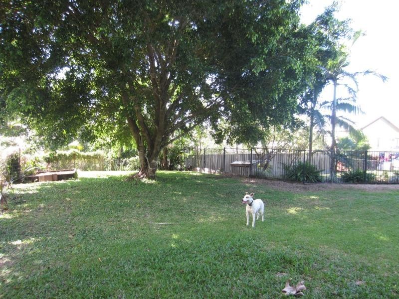 22 RYAN Street, Innisfail QLD 4860