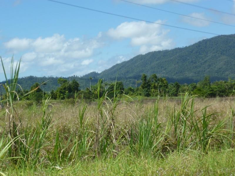 Tully QLD 4854