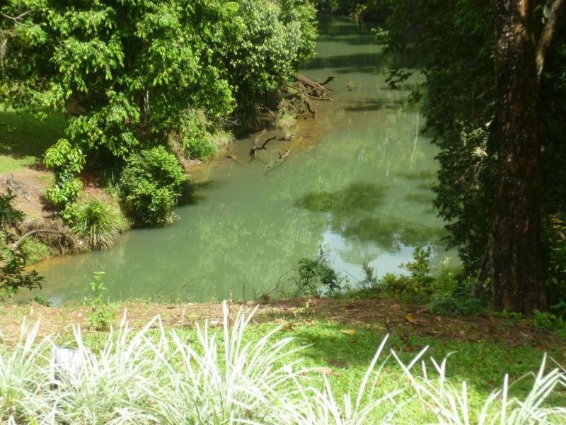 550 Cooroo Lands Road, INNISFAIL, Innisfail QLD 4860
