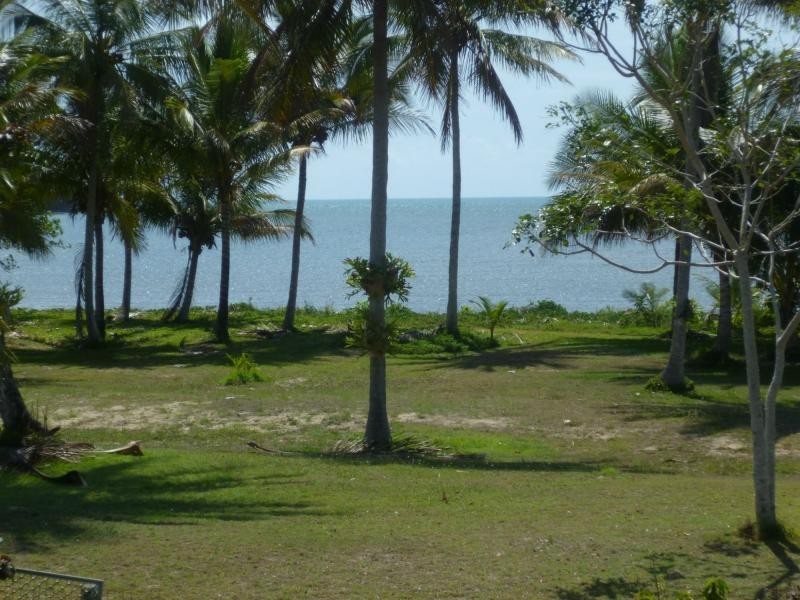 Coconuts QLD 4860