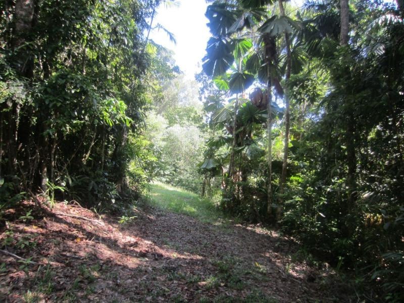 28 Waterfall Place, JUBILEE HEIGHTS, Innisfail QLD 4860