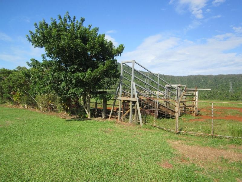 248 GERMANTOWN Road, Innisfail QLD 4860