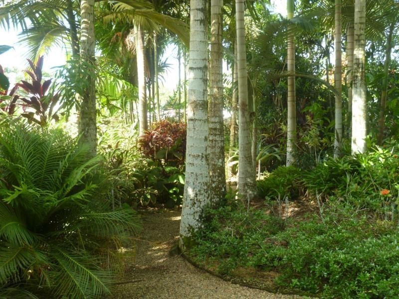 East Innisfail QLD 4860