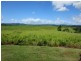 97 Cooroo Lands Road, Upper Daradgee QLD 4860
