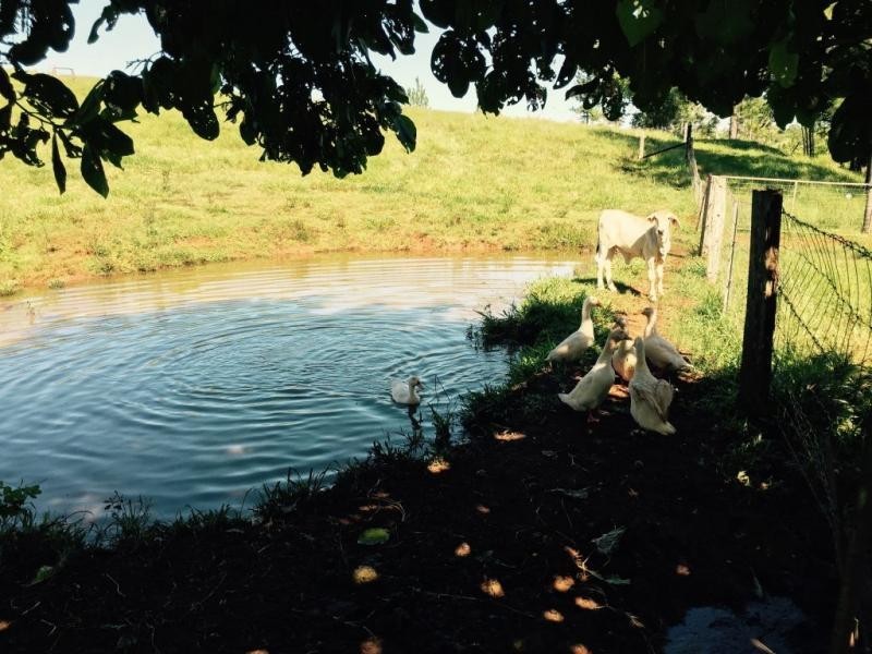 Germantown QLD 4871