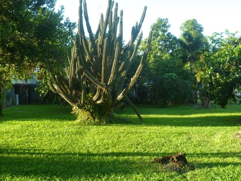 50 Victoria Street, Silkwood QLD 4856