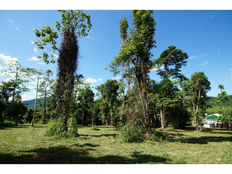 LOT 6 AZZOPARDI Road, Japoonvale QLD 4856