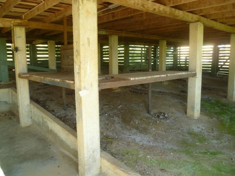 20 BADILLA Street, INNISFAIL, Hudson QLD 4860