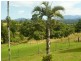 458B PALMERSTON Highway, PIN GIN HILL, Pin Gin Hill QLD 4860
