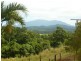 458B PALMERSTON Highway, PIN GIN HILL, Pin Gin Hill QLD 4860