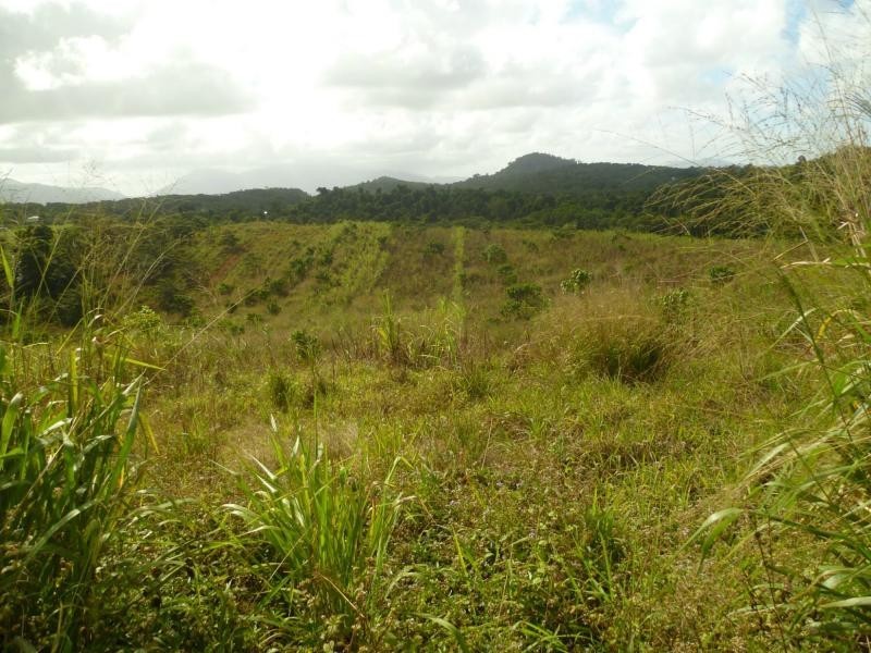 Vasa Views QLD 4860