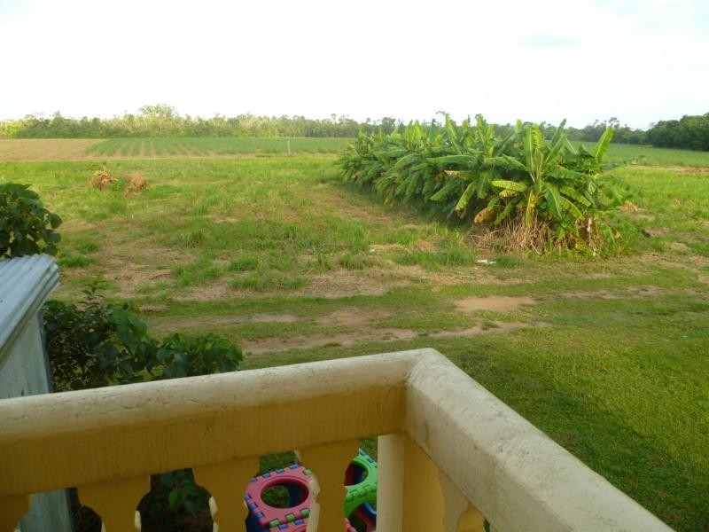 253 NEWMAN Road, Moresby, Moresby QLD 4871