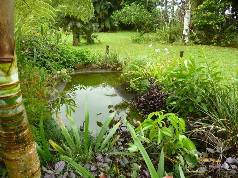 382 PALMERSTON Highway, STOTERS HILL, Stoters Hill QLD 4860