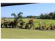 LOT 6 WITCHETTY Place, INNISFAIL, Innisfail QLD 4860