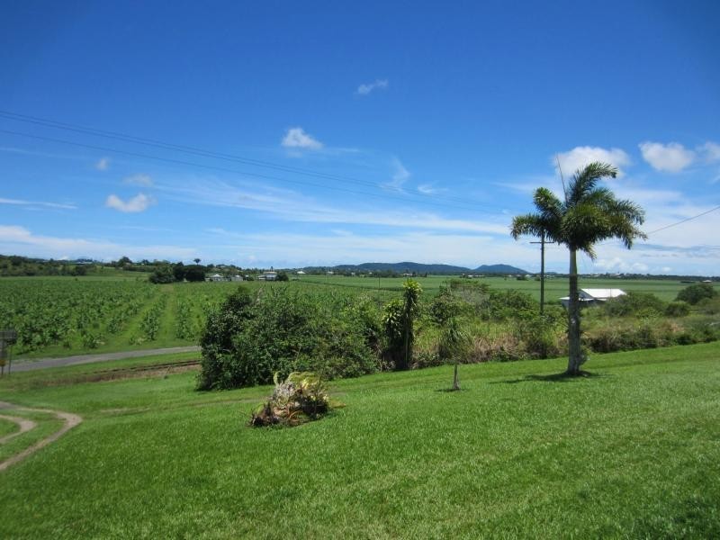 129 Old Ferry Road, GOONDI, Innisfail QLD 4860