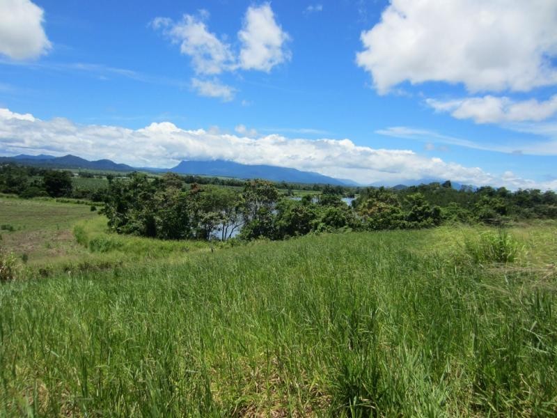 129 Old Ferry Road, GOONDI, Innisfail QLD 4860