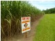 Bellenden Ker QLD 4871