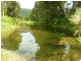 Bellenden Ker QLD 4871