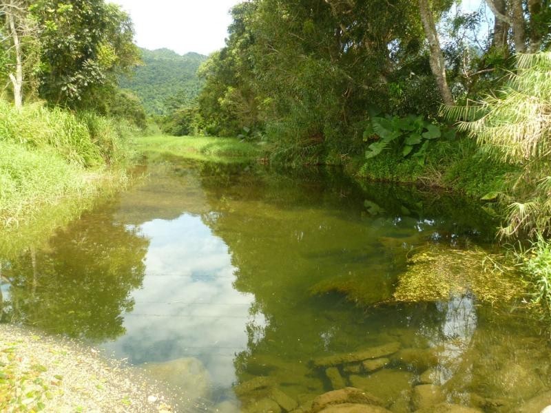 Bellenden Ker QLD 4871