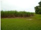 Bellenden Ker QLD 4871