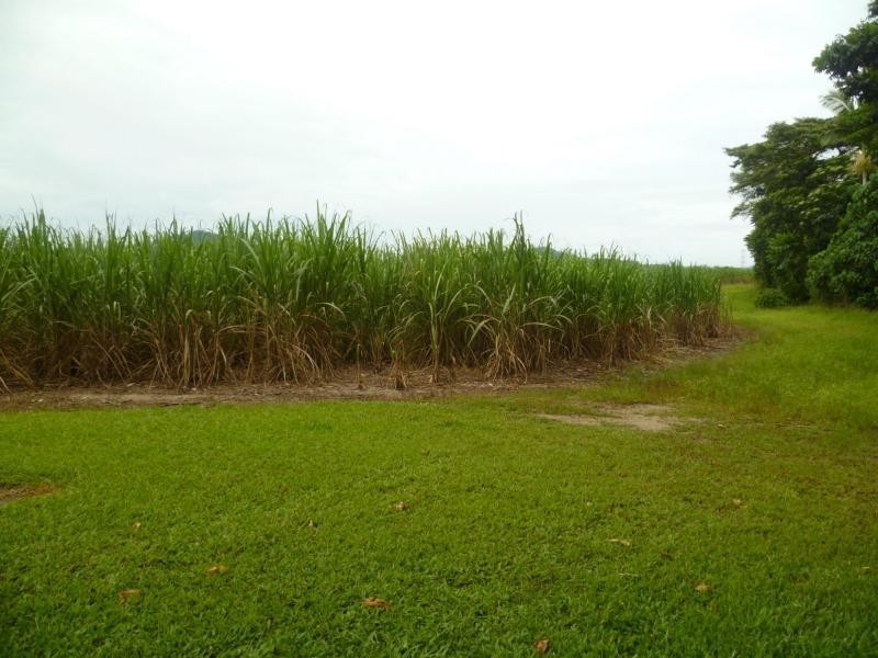 Bellenden Ker QLD 4871