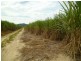 Bellenden Ker QLD 4871