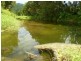 Bellenden Ker QLD 4871