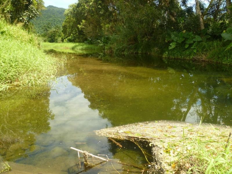 Bellenden Ker QLD 4871