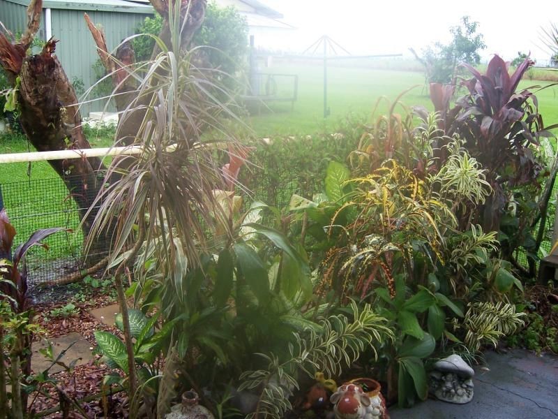 Innisfail QLD 4860