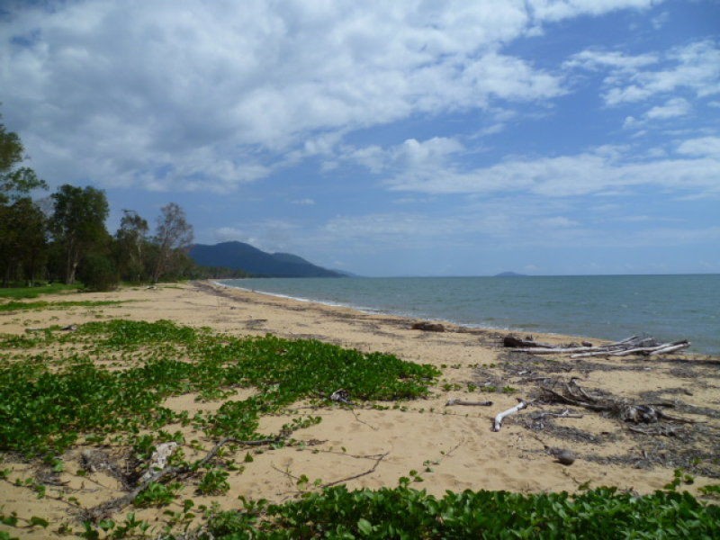 Bramston Beach QLD 4871