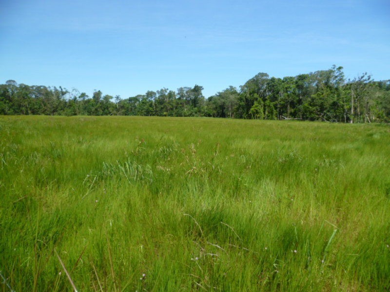 Eubenangee QLD 4860